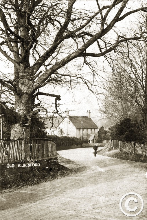 Old Alresford 044