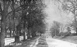 The Avenue c 1900